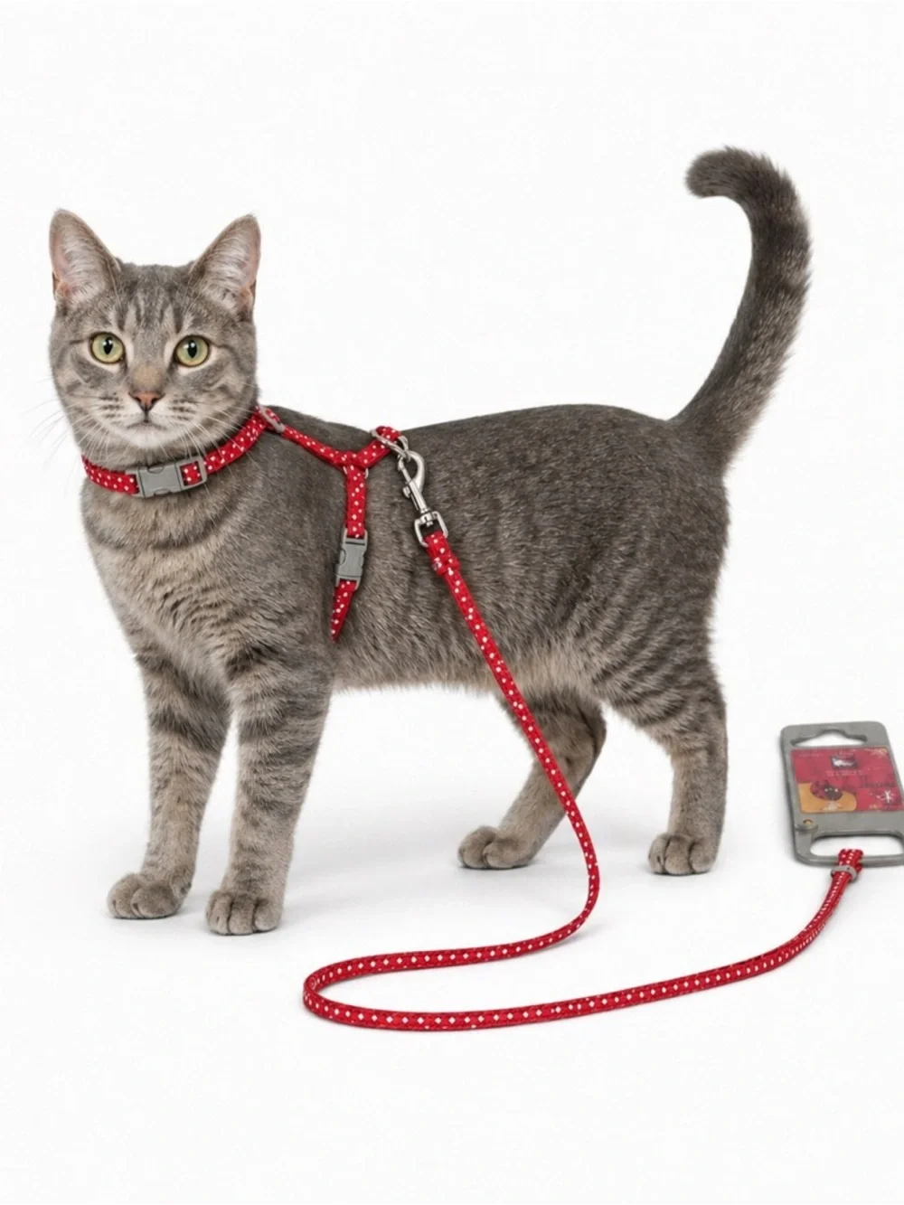Hand In Hand Cat Harness Leash Set Small Red Polka Dot Adjustable NEW